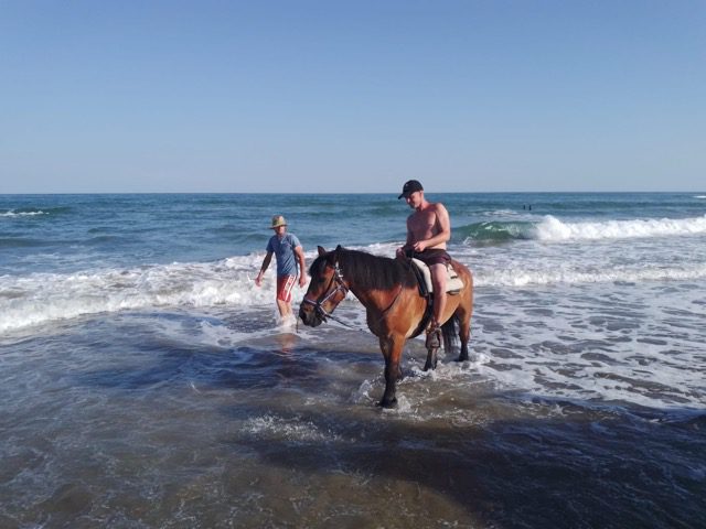Terapia con caballos en el centro residencial